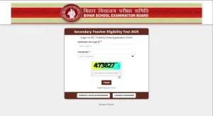 Bihar STET Admit Card 2025