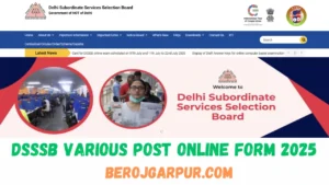 dbrau result 2025 out agra university ug & pg berojgarpur (b2r jobs) DSSSB Various Post Online Form 2025